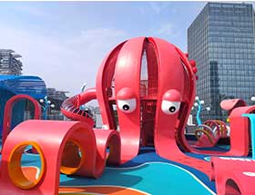 Theme playground equipment Customer